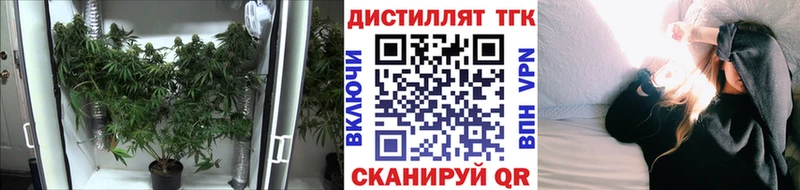 купить закладку  Таштагол  Дистиллят ТГК концентрат 