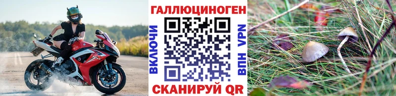 Галлюциногенные грибы Psilocybe  Таштагол 