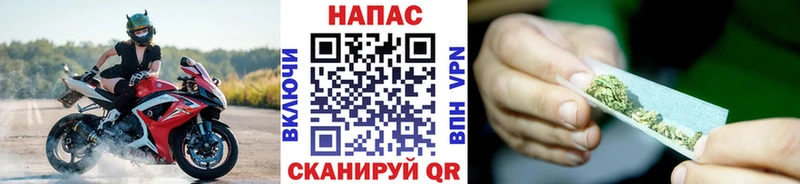 Бошки марихуана Bruce Banner  купить наркоту  Таштагол 